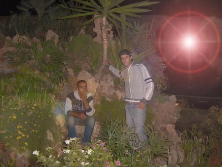 tawfiq